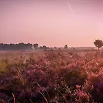 6-persoons Veluwe Villa Voorthuizen