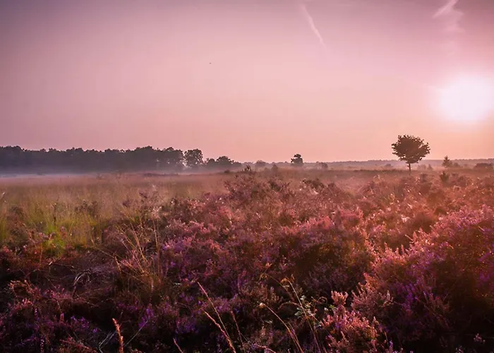 6-persoons Veluwe Villa Voorthuizen
