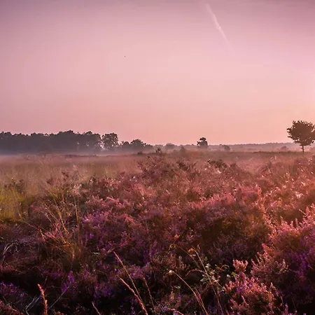 6-persoons Veluwe Villa Voorthuizen